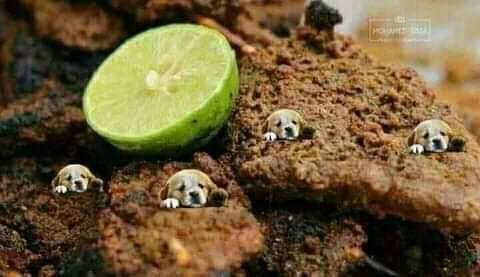 والله يا جماعه مصدوم من امبارح بتاع الاقاشي الباكل عندو لقيتو بياكل اقاشي في محل اقاشي تاني 💔😑

فاهمني انتو💔😅