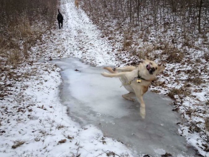 _PPBM's tweet image. 