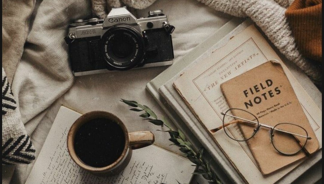 sads 🍁🪭 tweet media