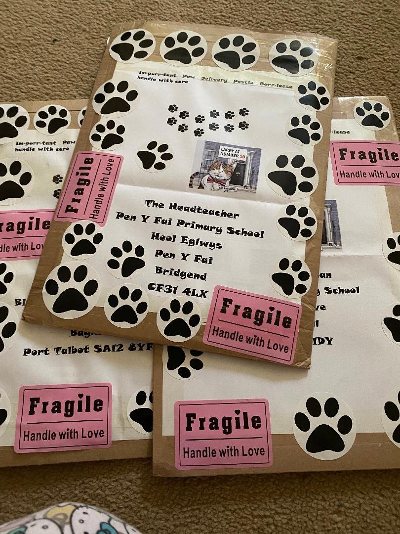 ElizabethRadcl5's tweet photo. Boots has been helping my pack up special gifts of Larry at Number 10 to go to some super duper Primary Schools - Crickhowell, Blaenbaglan and Pen Y Fai xxx #CatsOfTwitter #kidslit #childrensbooks #SCBWI_ #Bookishcrick https://t.co/OdspjawlvC