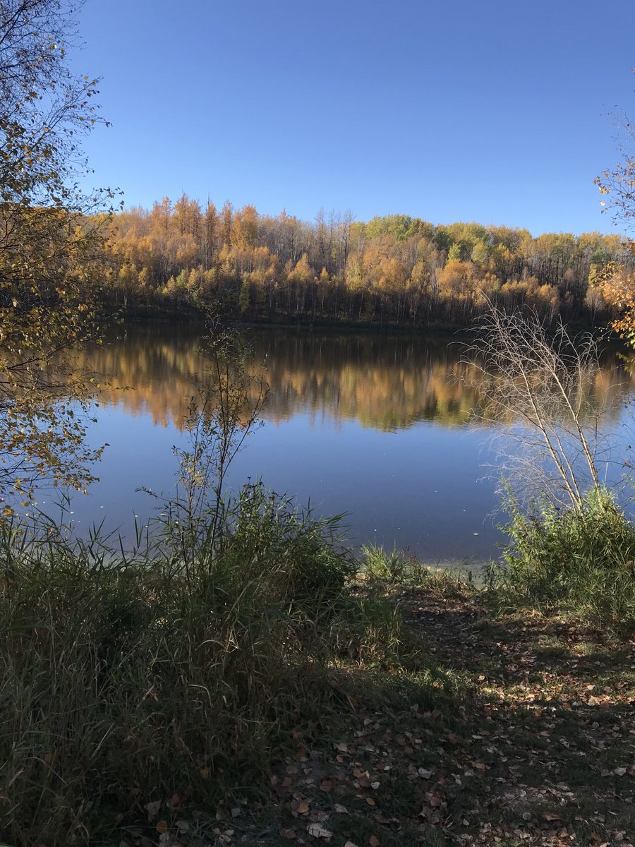 A beautiful autumn morning at Chickakoo Lake; wishing everyone a safe and enjoyable Thanksgiving weekend.