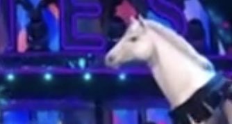 Toots ❤🌈 tweet media