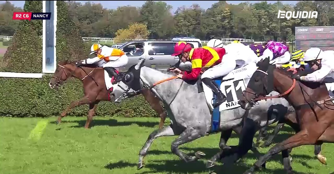 NicBellanger's tweet photo. 09/10/2021 🥈🥉Couplé placé de SIMFAUST et KADNIKOV sur l'hippodrome de Nancy .
#ecuriebellanger #simfaust #kadnikov https://t.co/1JHn9Qi5Py