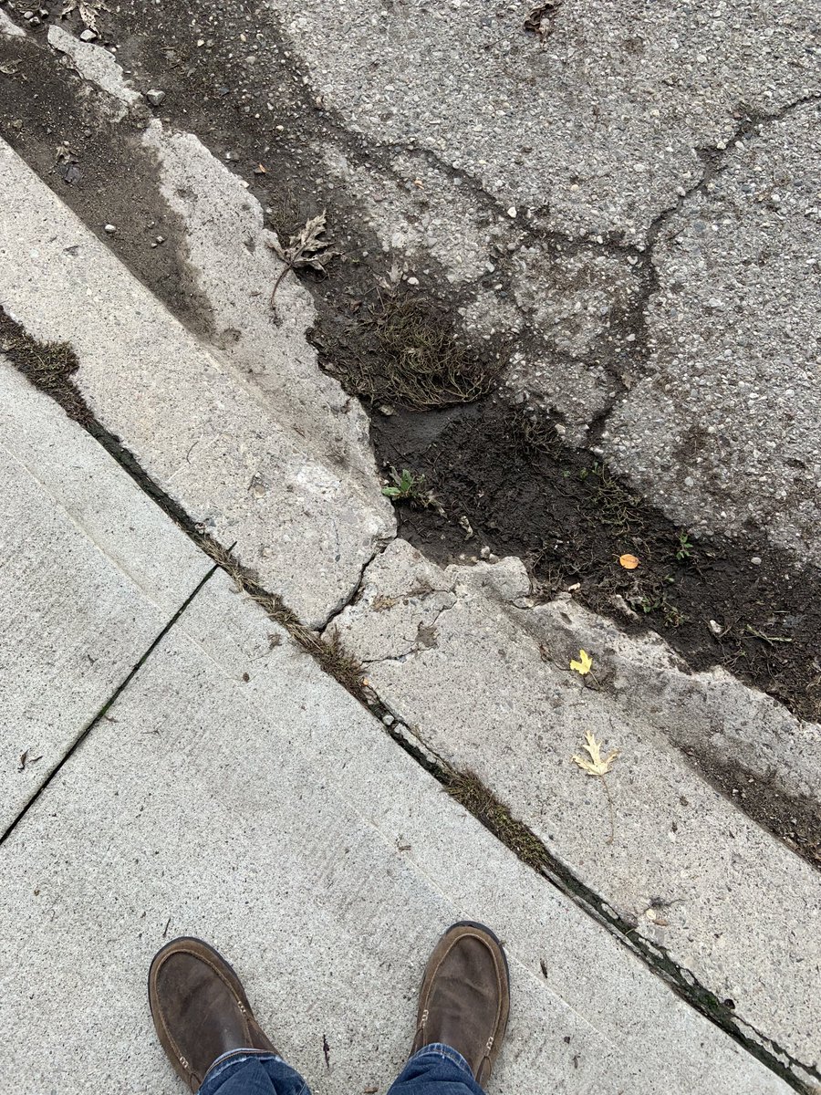 Rob Steinbach tweet media