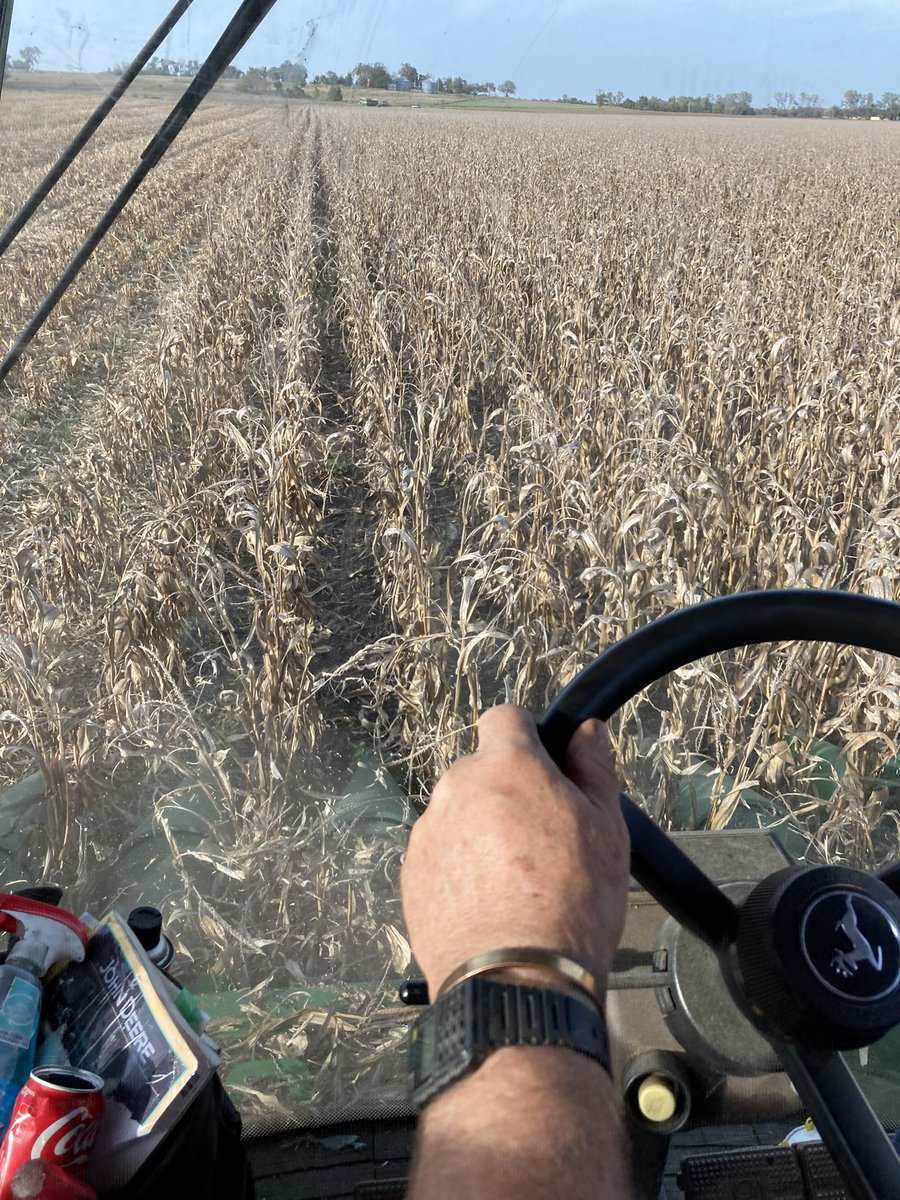 RaylenPhelon's tweet photo. Saturday night date night shelling corn with my wife Karen Phelon https://t.co/CQH63mrAD3