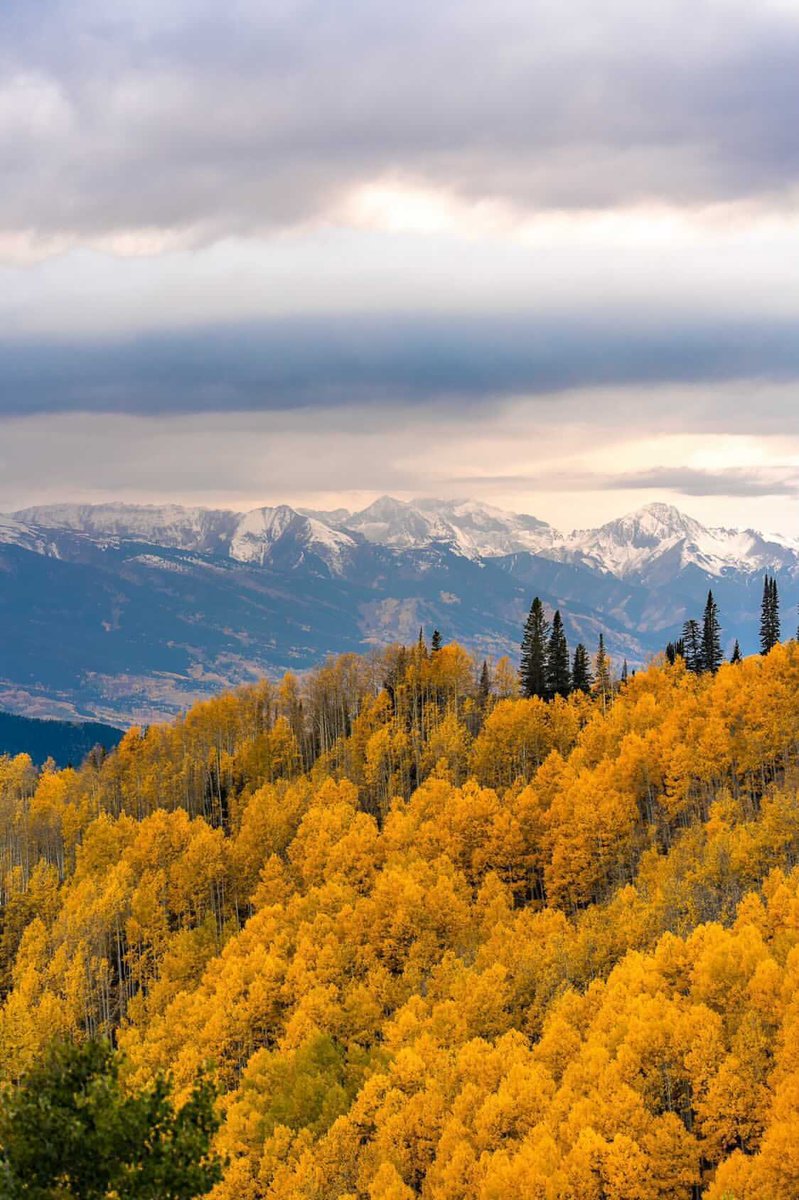 AspenCO's tweet photo. A few of our favorite seasons colliding.❄️🍁 photo: @photograferg #aspenco https://t.co/uVz97N2R4U