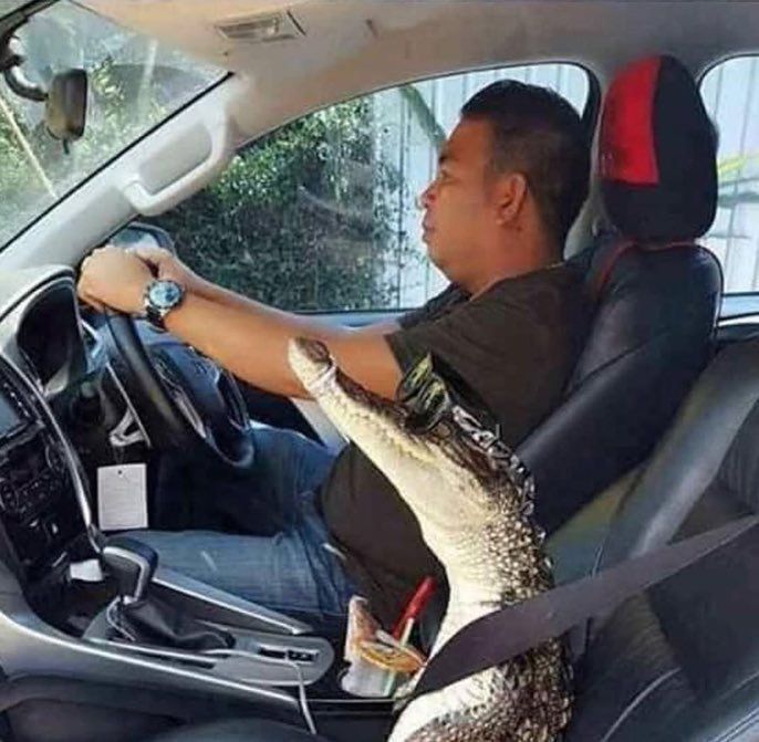 CauseWereGuys's tweet photo. Me: I need to stop buying stupid things when I get paid. 

Me when I get paid: https://t.co/BfXWjn5ZDg