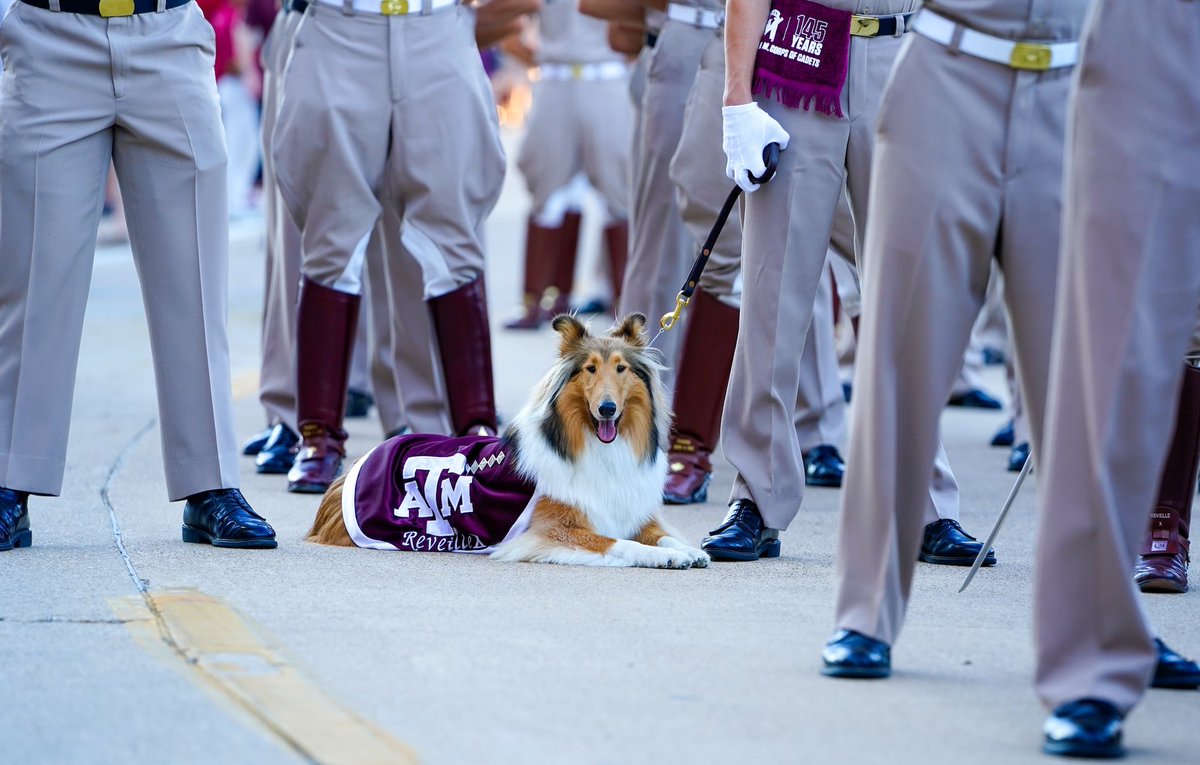 reveille's tweet photo. Howdy!!! 😄 https://t.co/OGxVUvhyR9