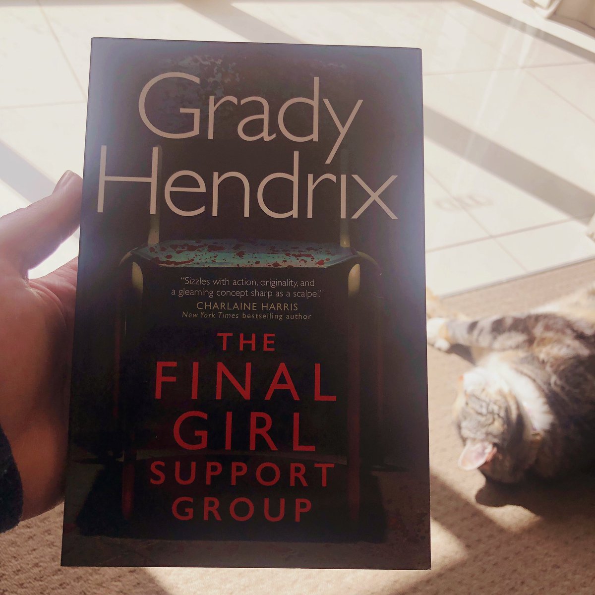 RYFOBookClub's tweet photo. HELLO I SURVIVED. I’ve woken up feeling quite achy and with a bit of a headache, but feeling like I can get a bit of reading in this morning. Jumping back into this! - Jess (@bellelumiere) https://t.co/dpmrS5WyeQ