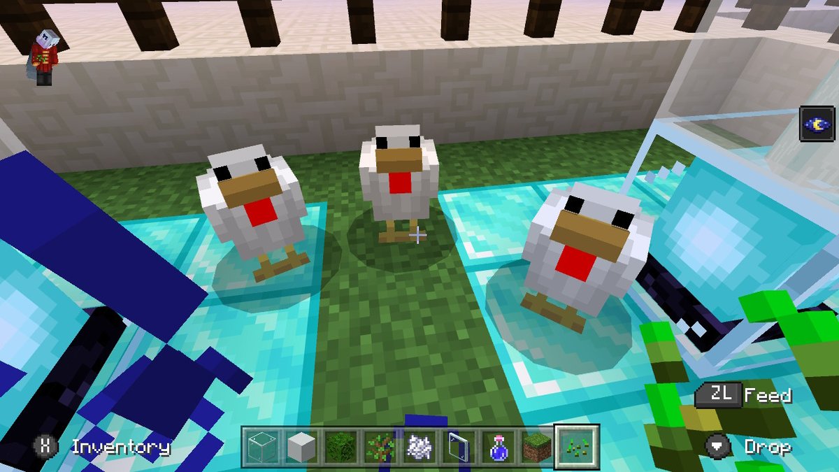 Am i the only one who looks at chickens in Minecraft as Ducks?? #Minecraft #NintendoSwitch https://t.co/P5wWYzu9Ec