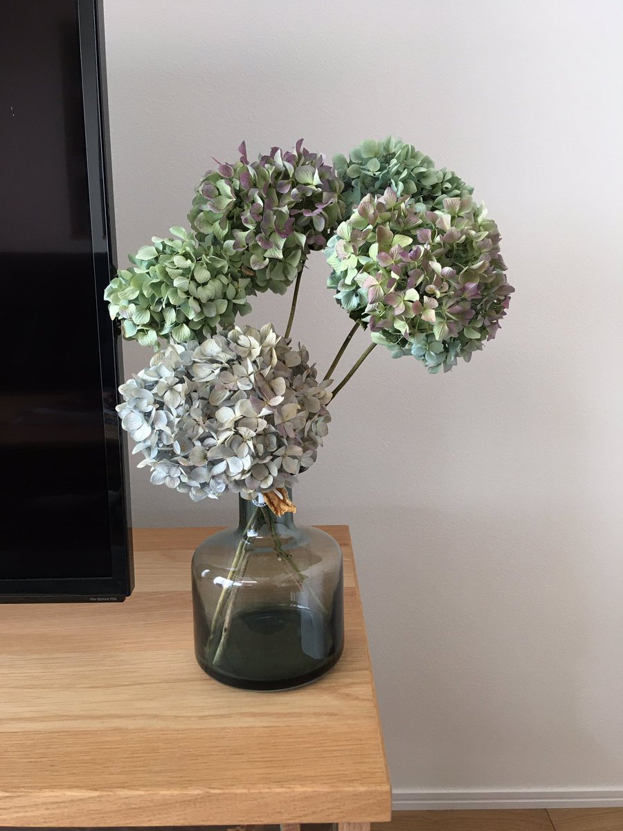 chisetom's tweet photo. IKEAで買った花瓶に、自家製の紫陽花のドライフラワーを飾ってみた。

うん、良い感じ！ https://t.co/uFlMqGh8vj