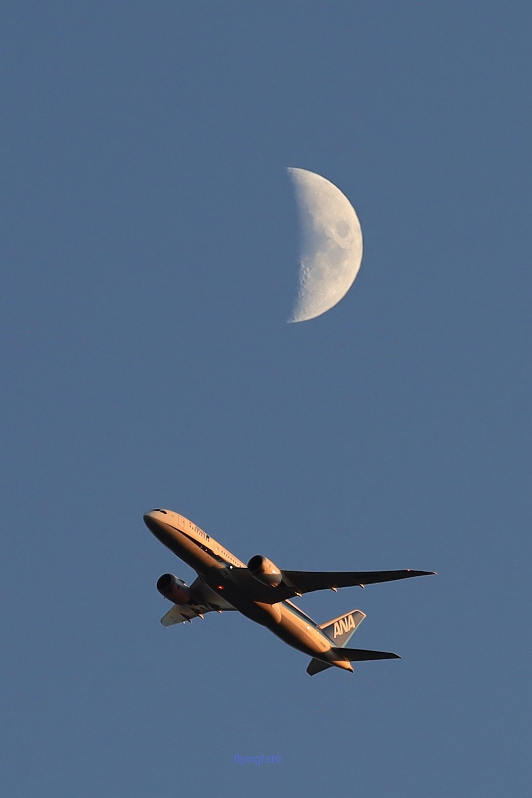 Flyingfat6 そういえば日本では飛行機好きの人がなんと呼ばれてる 航空ファン 飛行機好き 航空 航空ファン 飛行機 月 Md11 Fedex An124 Ana Jal T Co Qksau7gjbx Twitter