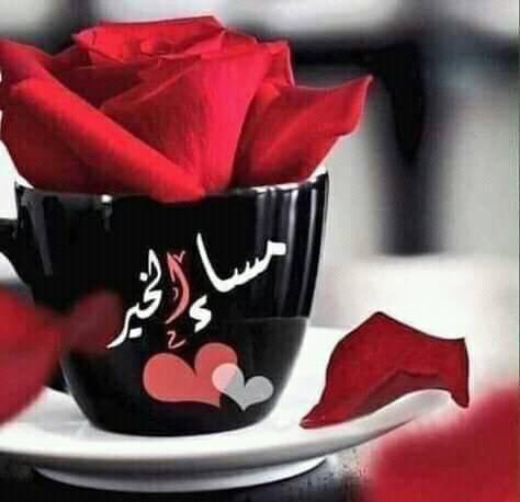 مساء الخير لكم متابعيني الكرام