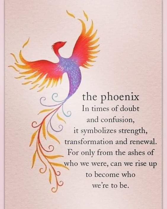 emma louise claridge (@rambowug) on Twitter photo 