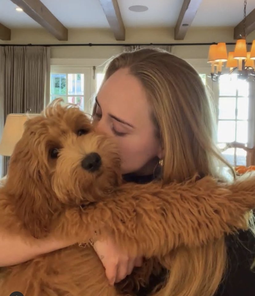 To mal to mal, te amo Adele