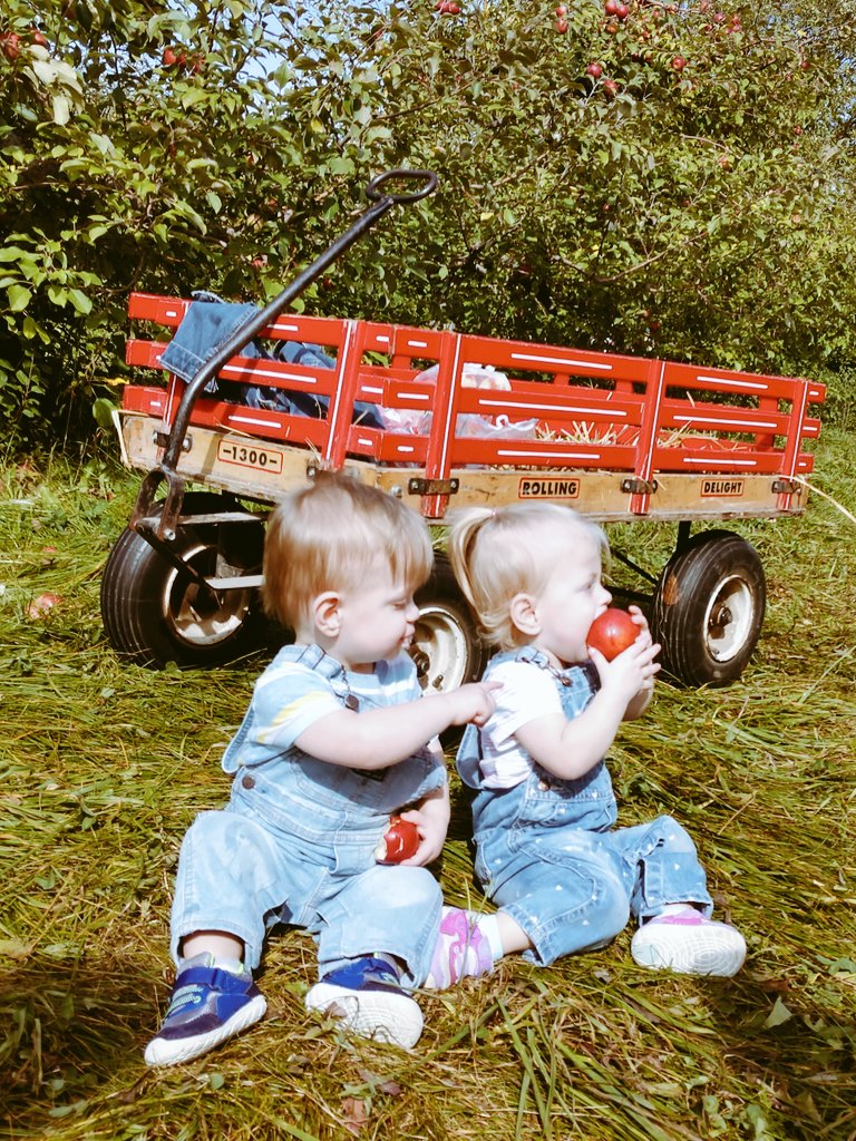 We have several local apple orchards to visit this fall. Walker and Charline enjoyed picking and eating apples today at <a href="/whistlingwell/">Whistling Well Farm</a> in Denmark Township.