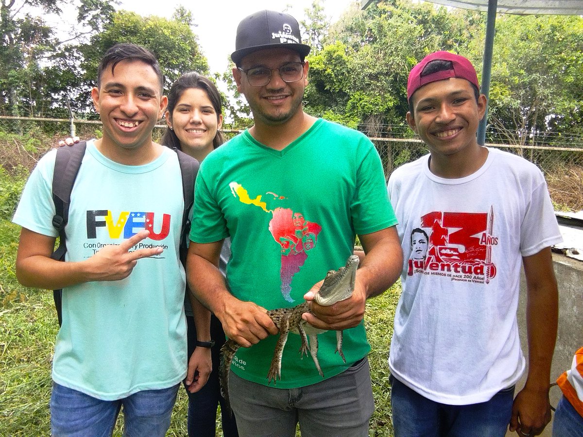 fveu tweet media