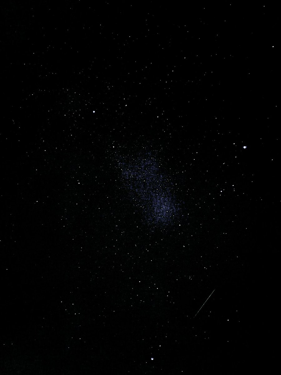 Coll Bunkhouse tweet media