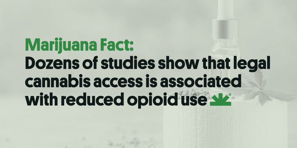 NORML's tweet photo. Studies show #cannabis access is associated w/reduced rates of opioid use &amp; abuse. Clinical data also suggests reductions in opioid-related hospitalizations, &amp; other negative health outcomes, in states w/regulated cannabis laws.

Read more from #NORML: https://t.co/guovcINkh4 https://t.co/pK2dLXcEfc