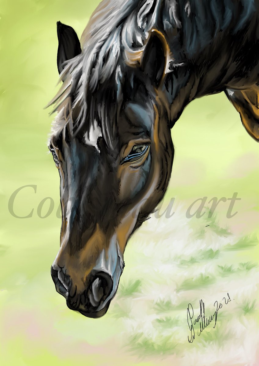 My first ever #horse painting 
Really enjoyed doing it and pleased with the result. Horse's owner was too. Still have space for commissions. #coblynau_art