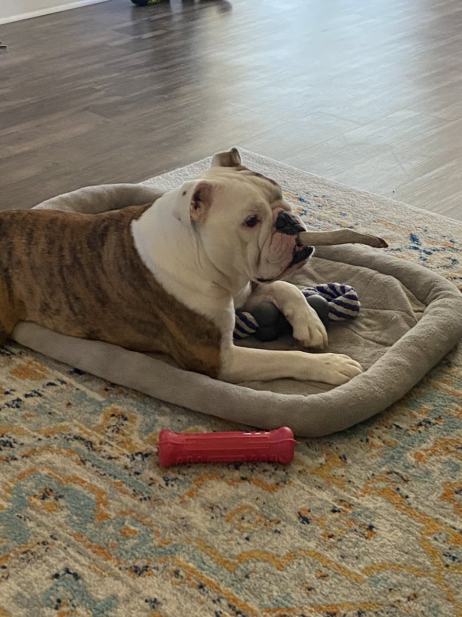 BravesPatriot's tweet photo. Hanklin says smoke’em if ya got’em #whyishelikethis https://t.co/sJ6JqvAixt