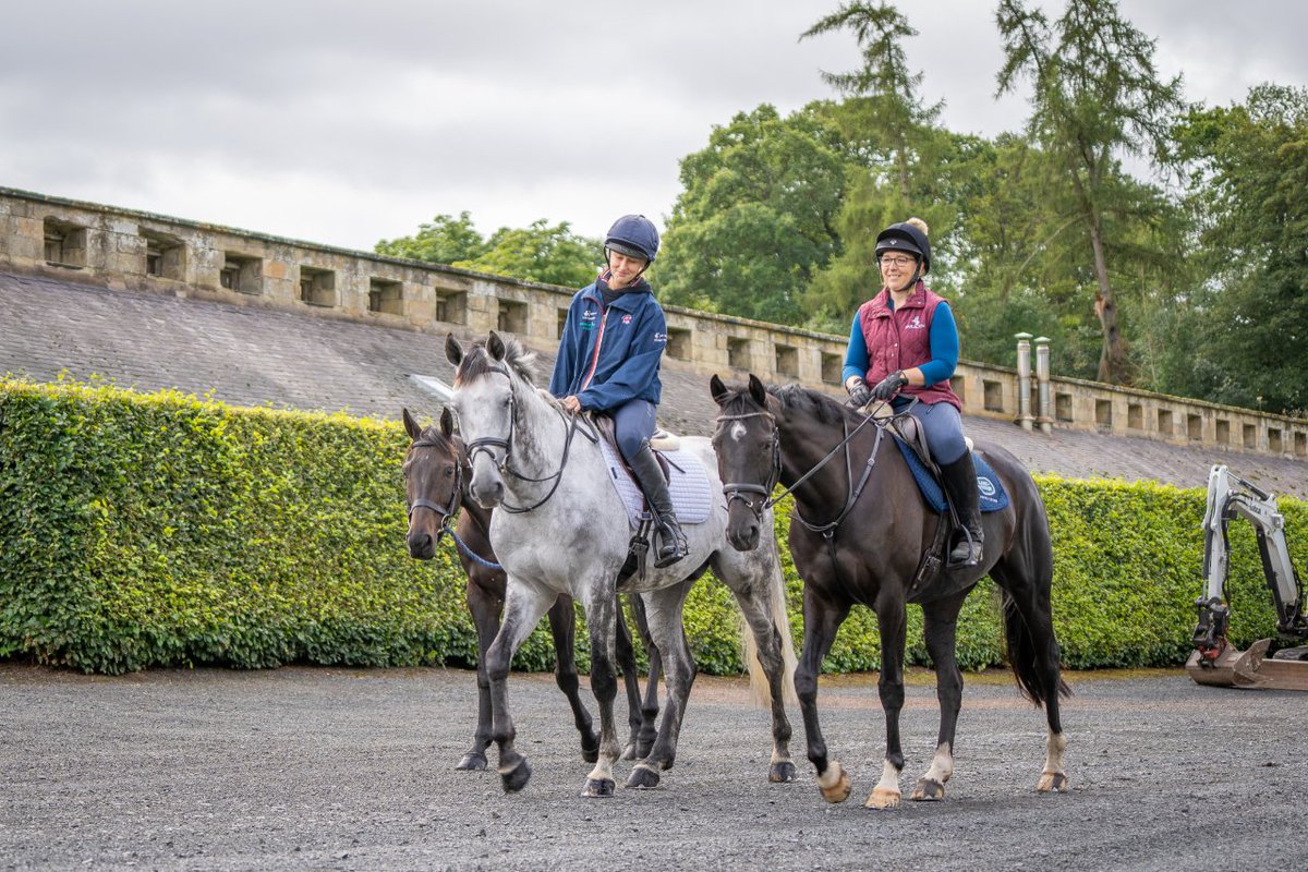 Calendrier Endurance Equestre 2023 Tweets With Replies By Bedmax (@Bedmaxshavings) / Twitter