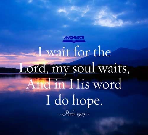 1YBPat's tweet image. 