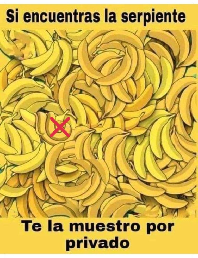 jazz198728's tweet photo. @Jr_mosquera1 Veo pues tu anaconda https://t.co/s8nJfg0vBn