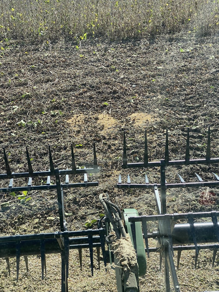 Nick Shoemaker tweet media