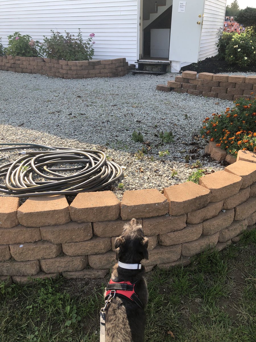 DanSponaugle's tweet photo. The Nati is patiently waiting for @jamiilee_ to finish her @AthleticsAU duties. #endthisgame https://t.co/aHP32J7NER
