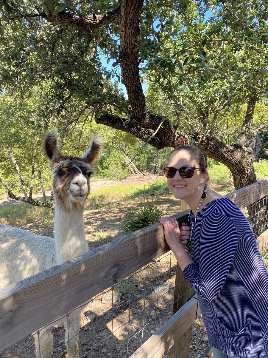 FScottFeil_DPT's tweet photo. Lordy! Lordy! Look who’s 40!!! Llama let myself out. Happy Birthday to my wife and special thanks to @theshadyllama the coolest venue in #WimberleyTX #LlamaAndBeer #LlamaMama https://t.co/vx8uq3PFhX