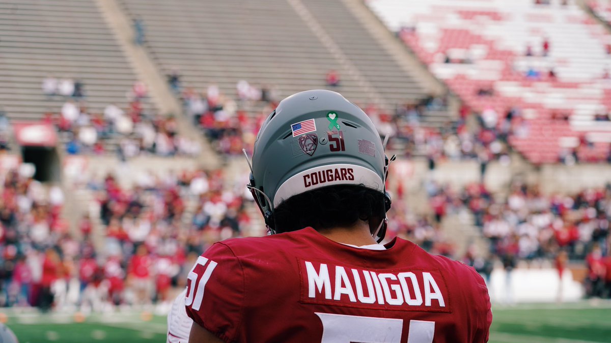 Washington State Cougars tweet media
