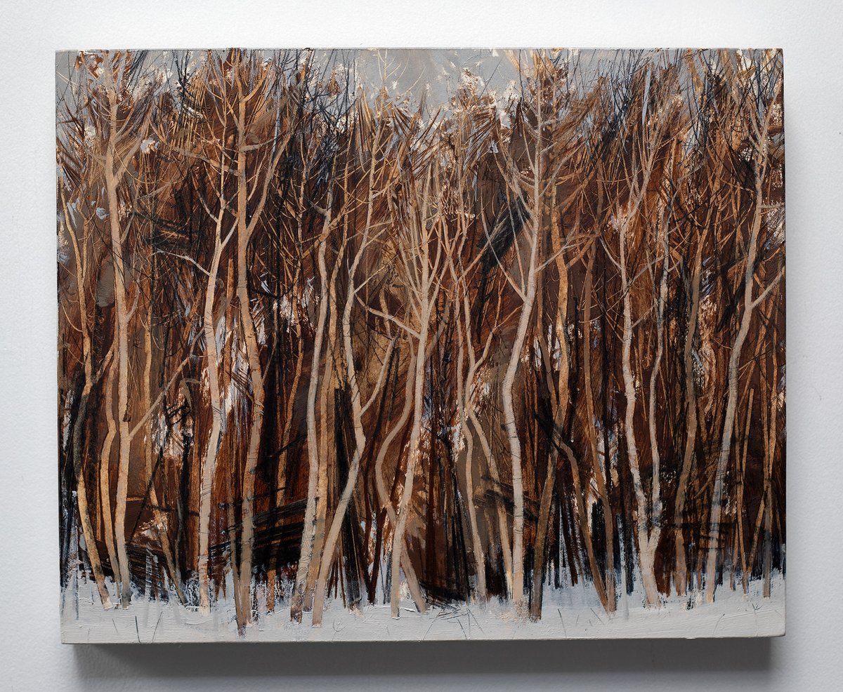resipolestudios's tweet photo. In keeping with the tree theme of yesterday's post, here is 'Young Birches, Gordon Woodland' by Shetland born artist Anna King. Oil and pencil on paper and board, 26 x 32 cm. View this and more from this artist: https://t.co/4LXW1RTJD0 #annaking #trees #scottishart https://t.co/dBlrvXSOMs