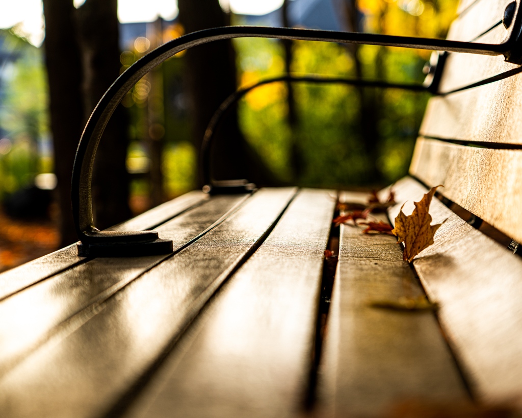 OttawaDrones tweet media