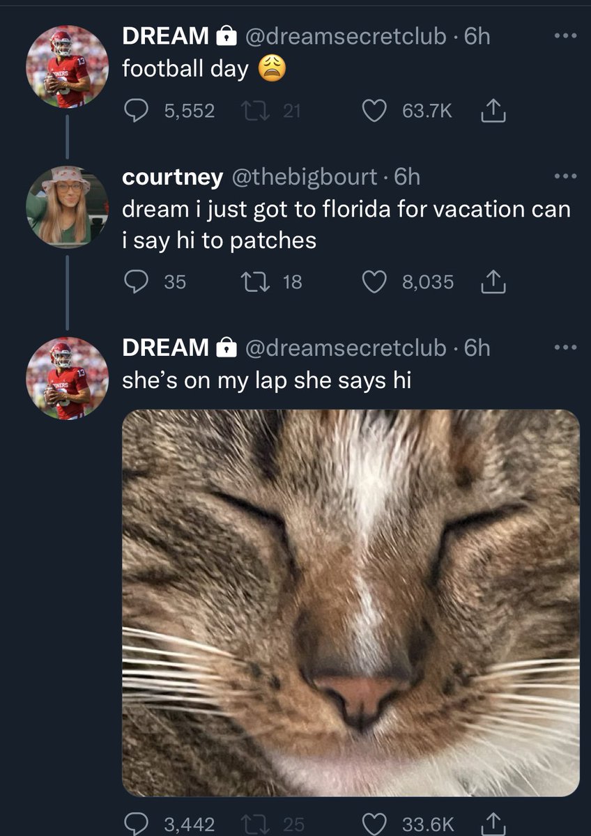 dreamreposts tweet picture