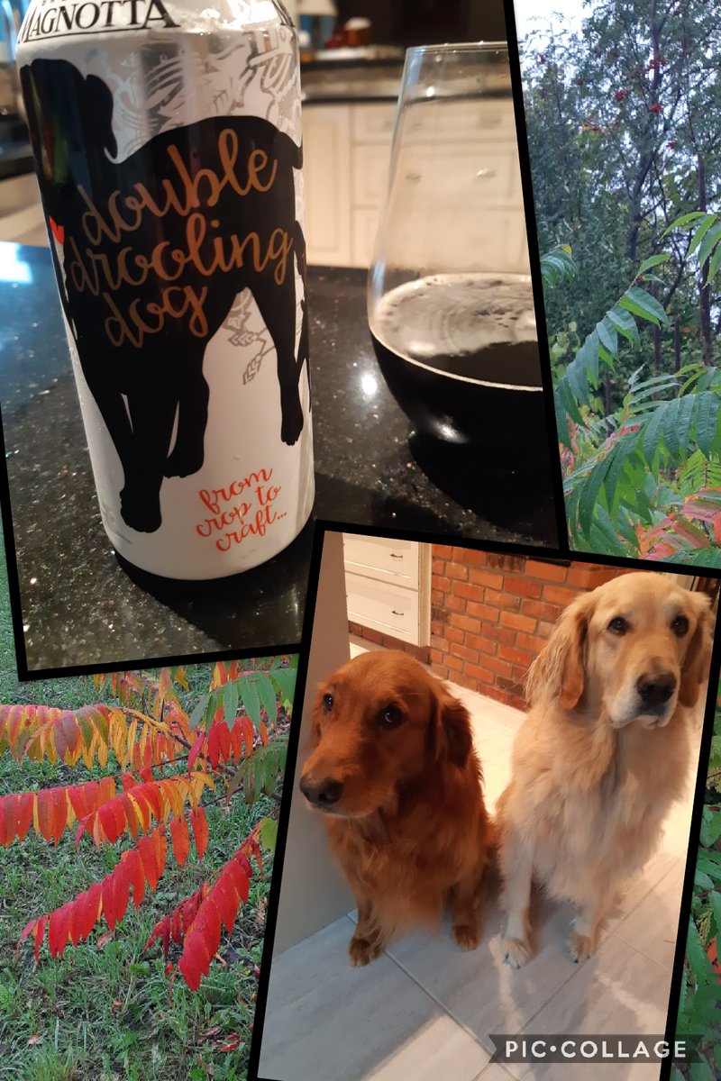 Dean Maahs tweet media