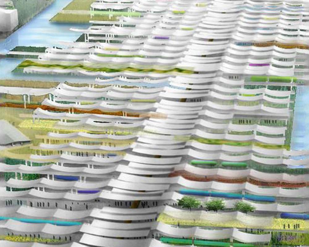 Alice_ch_n3e81's tweet photo. #drinking water #drinking water #riband #Petri dish #drinking water >_> When they do, the petri dish flashes blue as if animated by a primordial spark, the bacteria glow. https://t.co/n3rOIqmVS9
