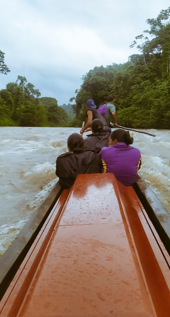 bosawas10's tweet photo. Asi transportaron el féretro que lleva el cuerpo de nuestro hermano indígena Martiliano Macario, asesinado en defensa de su territorio el 4 de octubre de 2021 Territorio Indígena MSA. La policía sancionada lo ha minimizado a "rencillas". Justificación para seguir asesinandonos😥 https://t.co/FJRsKetz4Q