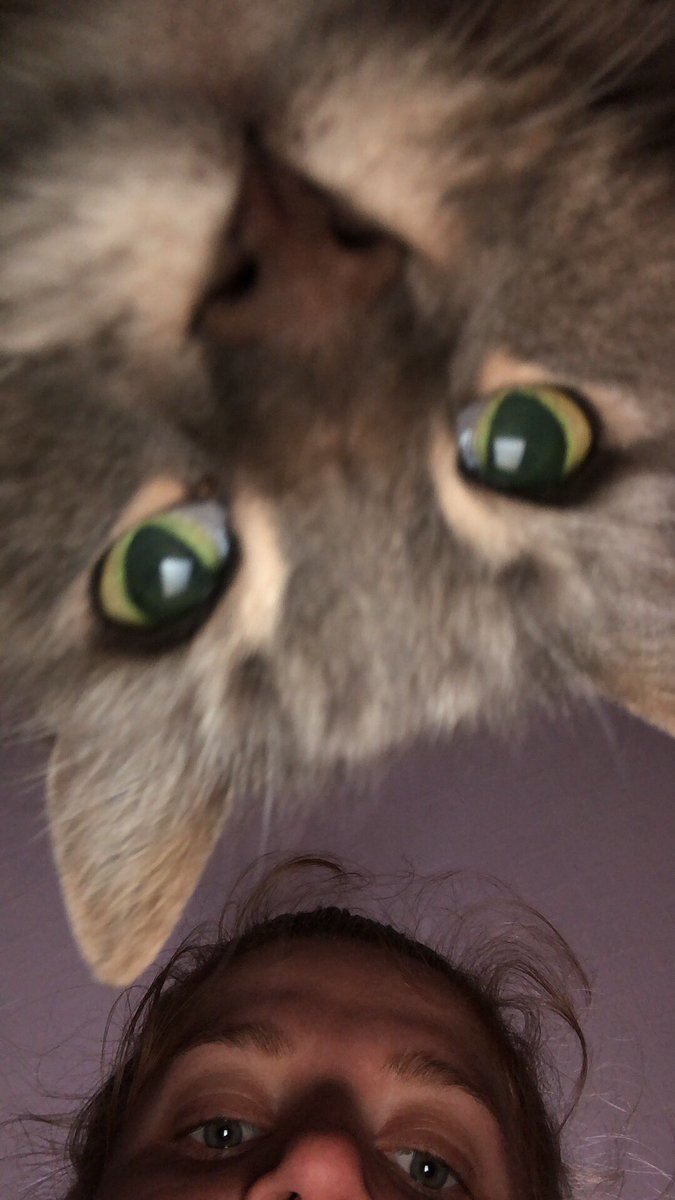 GeorgiaB08's tweet image. Rest in peace my little angel. Finally with Nanna now 💙. I will miss you endlessly xxxx