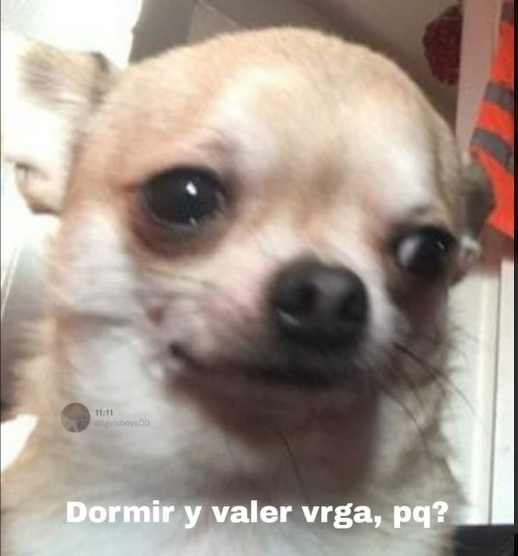 1YamilTZ's tweet photo. Que harás el sábado por la noche?
Yo: https://t.co/6Z7ozgNBWT