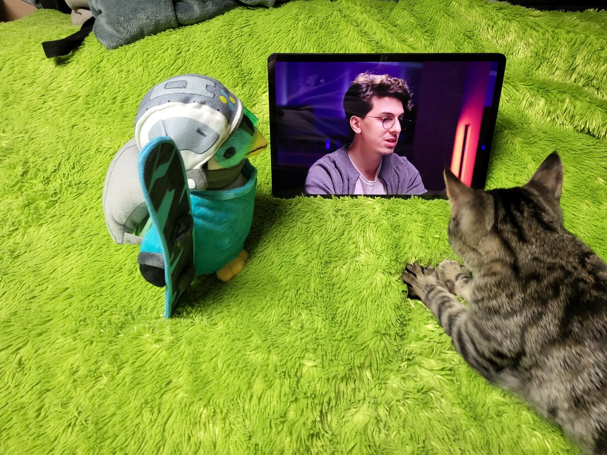 RitroPls's tweet photo. Rocinante and Pico watching digital citizen con. I get to watch a bit of it when Roci let's me. #SCWatchParty https://t.co/5gyEFFU12O