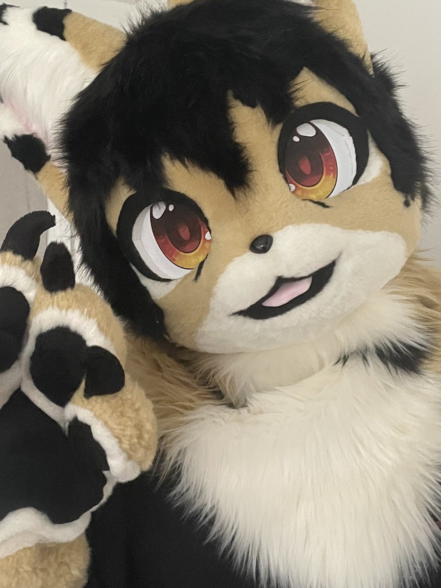 beefurman's tweet photo. Meow, meet Sebastian (bast) made by @Tig3rLilyy they are an absolutely amazing maker and deserve so much more love! #ukfur #fursuit https://t.co/ousX5AMXeo