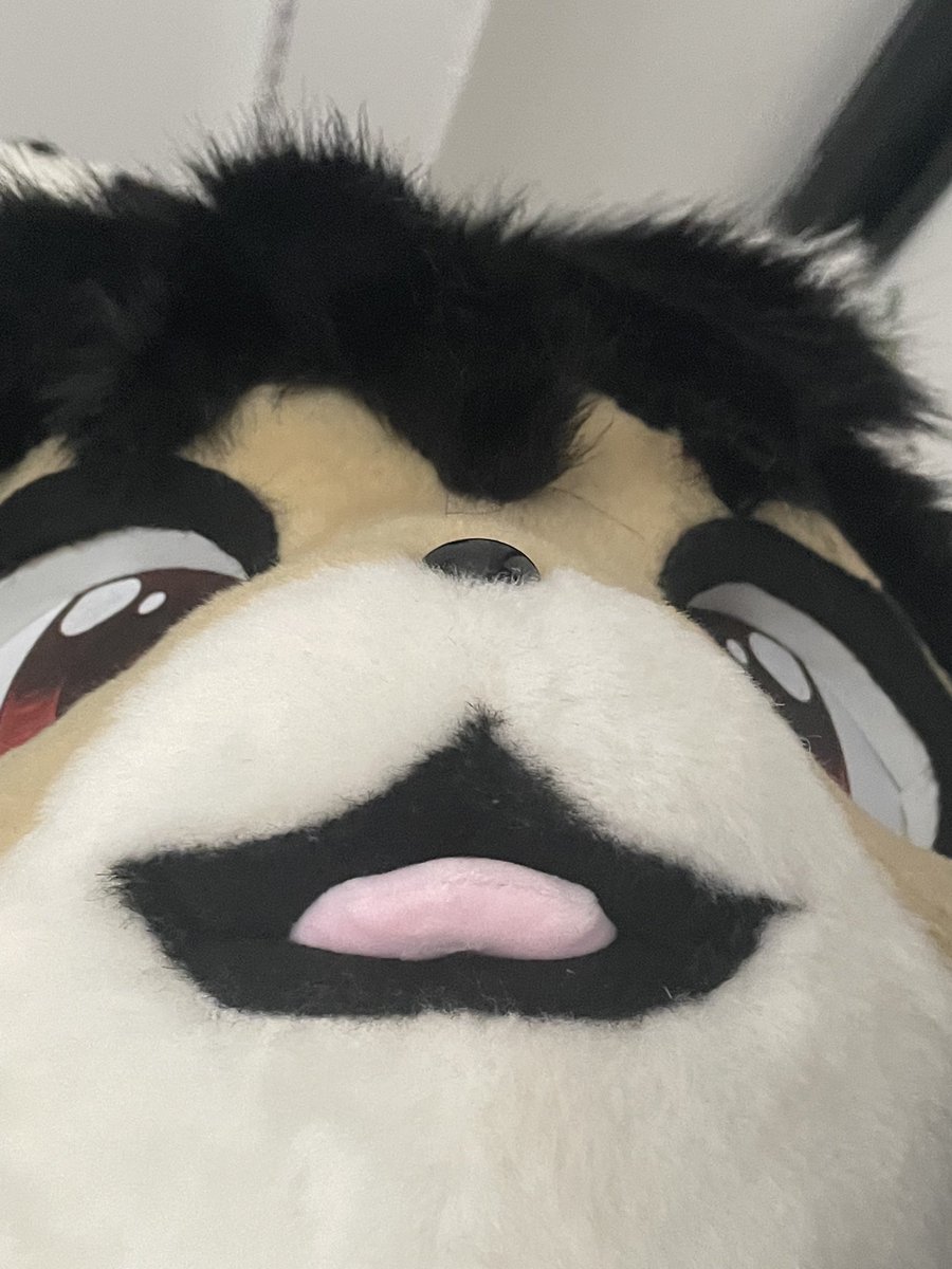 beefurman's tweet photo. Meow, meet Sebastian (bast) made by @Tig3rLilyy they are an absolutely amazing maker and deserve so much more love! #ukfur #fursuit https://t.co/ousX5AMXeo