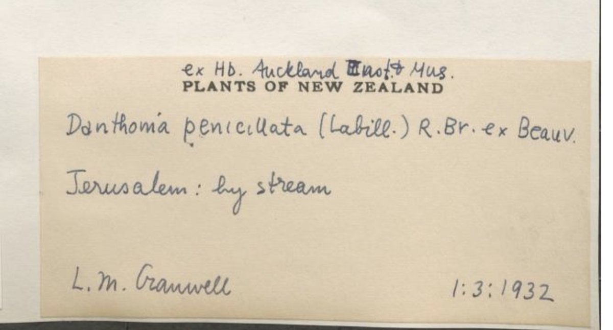 SiobhanLeachman's tweet photo. When I hear concerns about the quality of data on Wikidata I often think "don't throw stones in glass houses". At least I can fix #Wikidata without an email. 

(Images just an example from @NMNH https://t.co/AS6ieH3YEe) https://t.co/OmwykJSerm