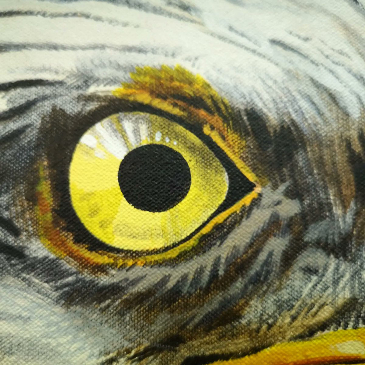 Andy Webb tweet media