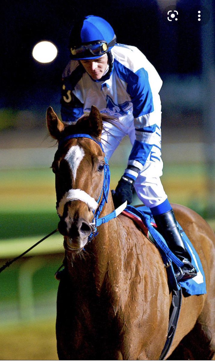 Cruz_Racing's tweet photo. It wouldn’t be WV Breeders Classic night with out me thinking of the horse that made me fall in love with this game! @RaceCharlesTown the King Russell Road! 62-31-14-5 https://t.co/1LYfArAXSe