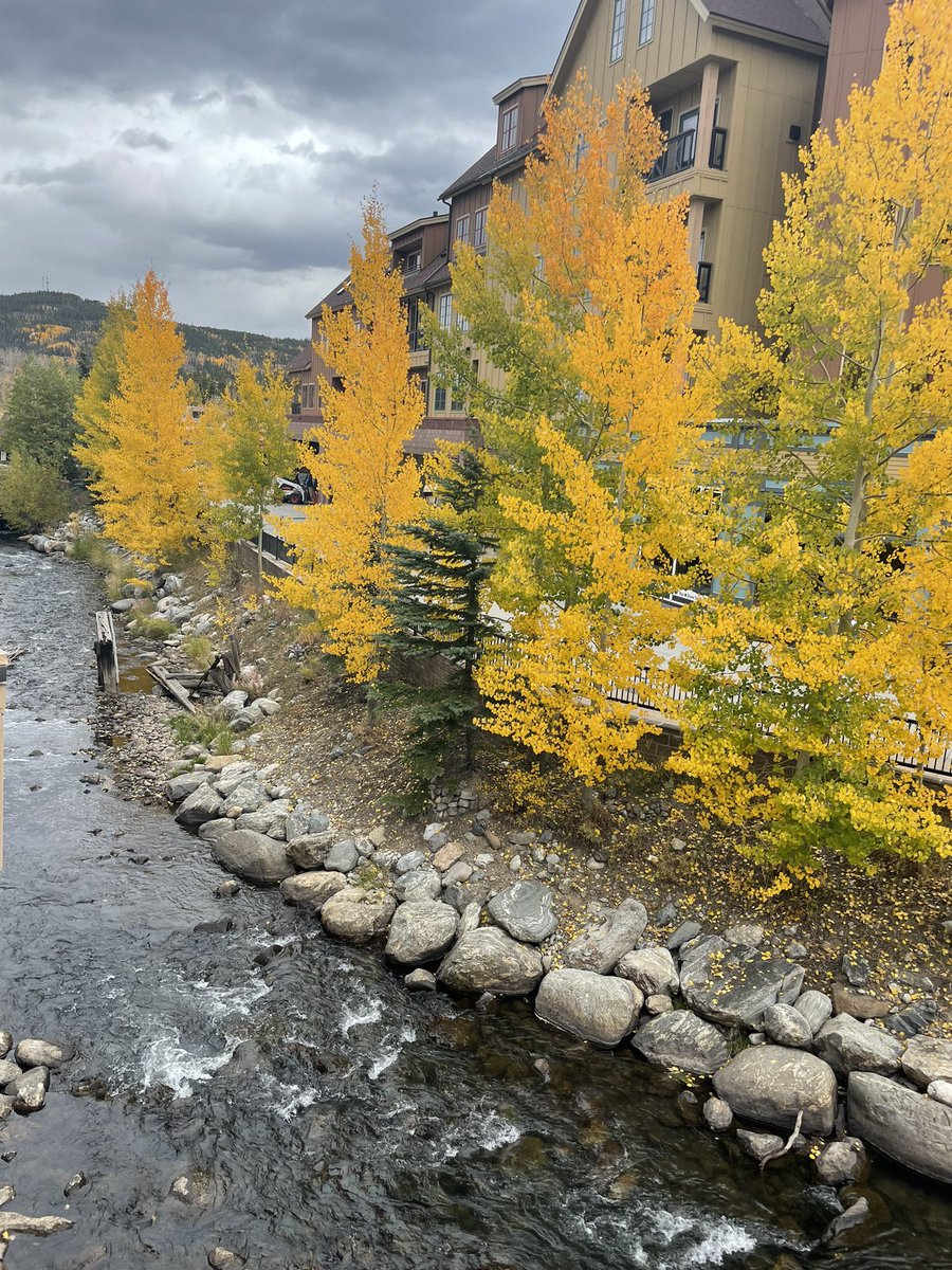 addisonrains's tweet image. Just home from my 1st CSD retreat. My heart is full of gratitude, my mind full of ideas and my eyes still in awe of the gorgeous snow capped mountains. Thanks for an incredible time @CSD_CUAMC! So thankful to study and work with so many wonderful scientists and people!