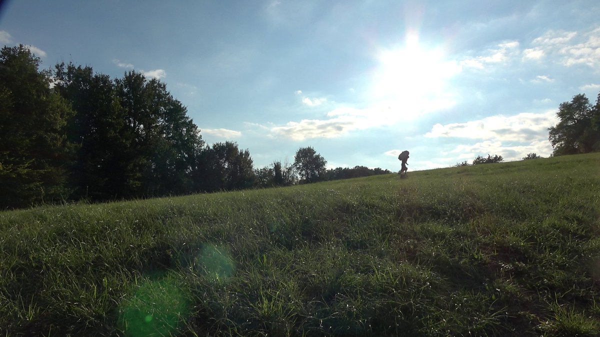 Loutrepoutre1's tweet photo. Bonsoir vous allez bien? 
Avant gout de la prochaine vidéo: Le Chant Des Poutres Épisode 0
Bientôt sur vos écrans au sein de la chaîne Youtube Loutrepoutre😁
Douce nuit à vous https://t.co/HnktKcTrlp