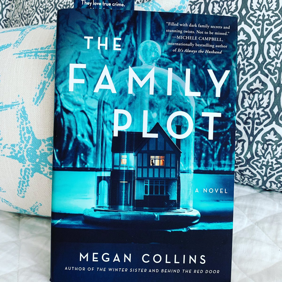 PGoetjen's tweet photo. @megancollinswriter’s THE FAMILY PLOT: A classic Megan Collins’s glued-to-your-seat thriller. LOVED it. Here’s the full review: https://t.co/uMZRSLFIvx
Bone-chilling…Poignant…Gripping #BookReview #thriller #thefamilyplot #megancollins https://t.co/sQoZgP7uyc