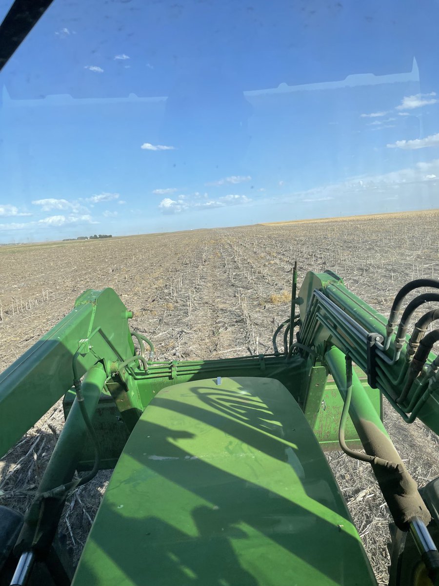 FVCJeffW's tweet photo. I know our cornstalks are getting Carbon Cycle this fall! 🤦🏻 ⁦@FVCoop⁩ ⁦@1sauderben⁩ https://t.co/L79eCZKP66